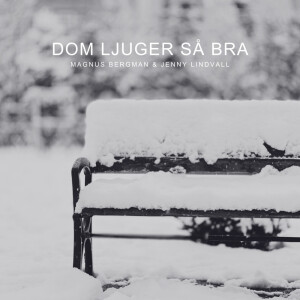 Album Dom ljuger så bra from Magnus Bergman