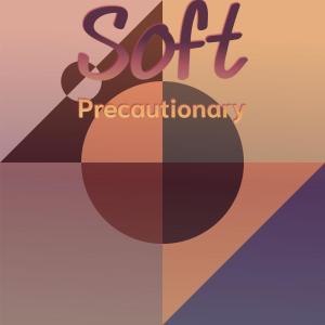 Various Artists的專輯Soft Precautionary