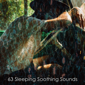อัลบัม 63 Sleeping Soothing Sounds ศิลปิน Baby Music