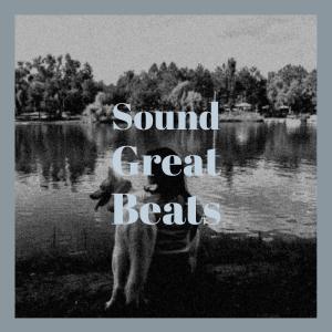 Album Sound Great Beats from Various