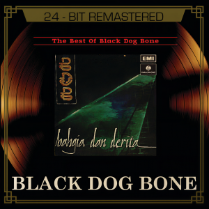 ดาวน์โหลดและฟังเพลง Si Gadis Ayu พร้อมเนื้อเพลงจาก Black Dog Bone