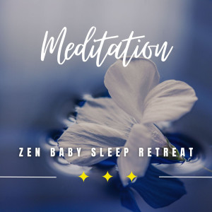 Album Zen Baby Sleep Retreat: Embrace the Calm from Pregnancy and Birthing Specialists