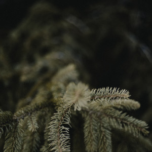 Dengarkan lagu Sleep Music nyanyian Study Music & Sounds dengan lirik