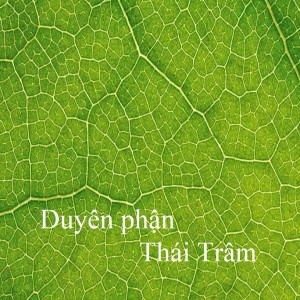 Album Duyên phận from Thái Trâm