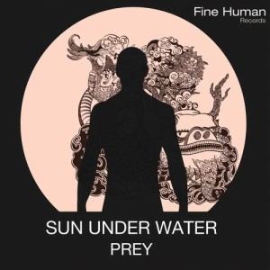 收聽Sun Under Water的Natural High (Black Mami Rmx)歌詞歌曲