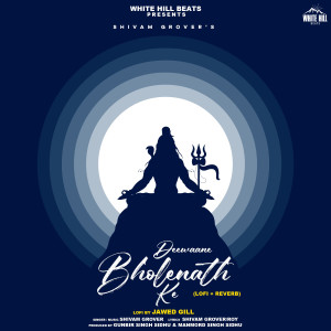Listen to Deewaane Bholenath Ke (LoFi+Reverb) song with lyrics from Shivam Grover