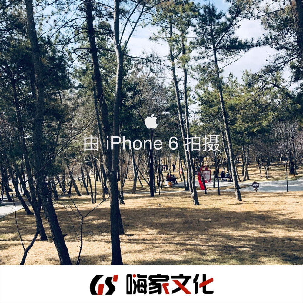 不接受反驳
