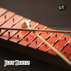 收聽YJS的Just Becuz (Explicit)歌詞歌曲