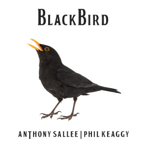 Listen to Blackbird song with lyrics from Anthony Sallee