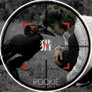 Rookie的專輯獵