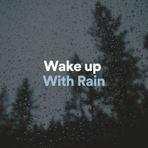 Album Wake up with Rain oleh Nature Sounds