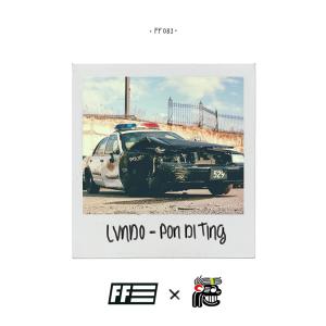 Album Pon Di Ting from Lvndo