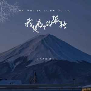 Listen to 我是夜里的孤独 song with lyrics from AZ珍珍