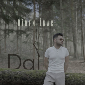 Album Dal from Diren İnaç