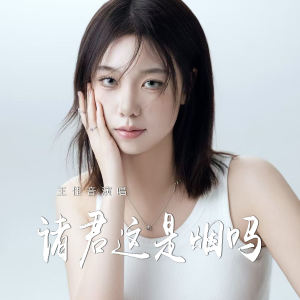 Album 诸君这是烟吗 from 王佳音