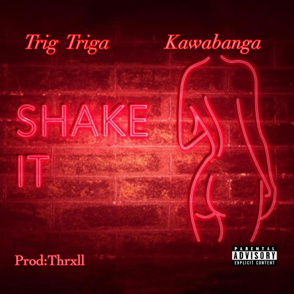 Shake it (feat. Kawabanga) (Explicit)