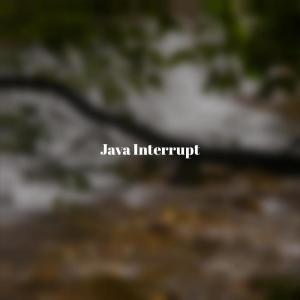 Listen to Java Interrupt song with lyrics from Ston Fuan