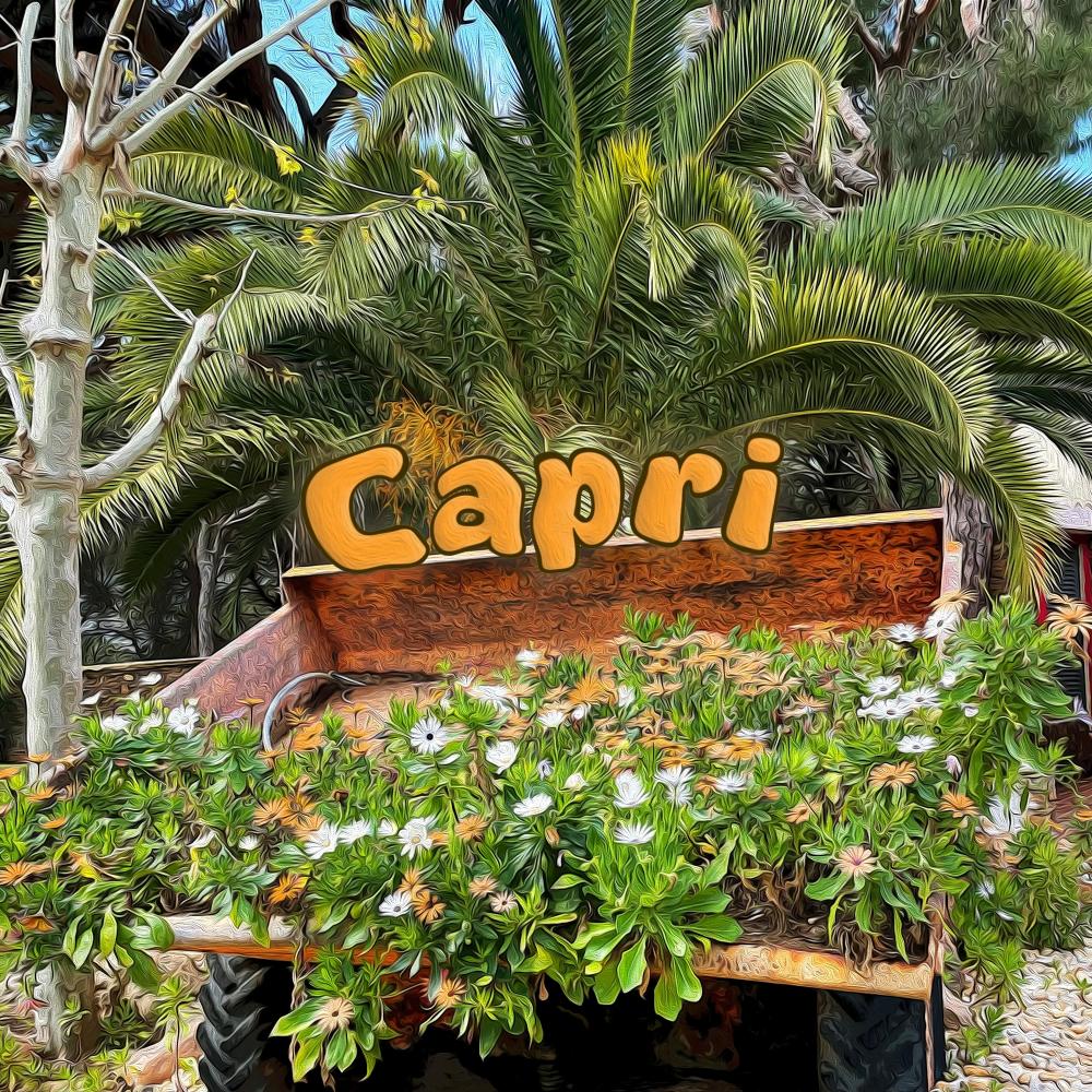 Capri (feat. momo) (Explicit)