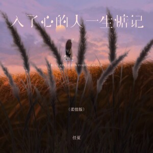 Album 入了心的人一生惦记（柔情版） from 任夏
