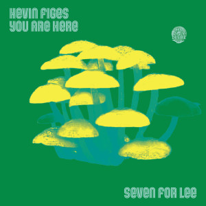 Listen to Seven for Lee song with lyrics from Kevin Figes