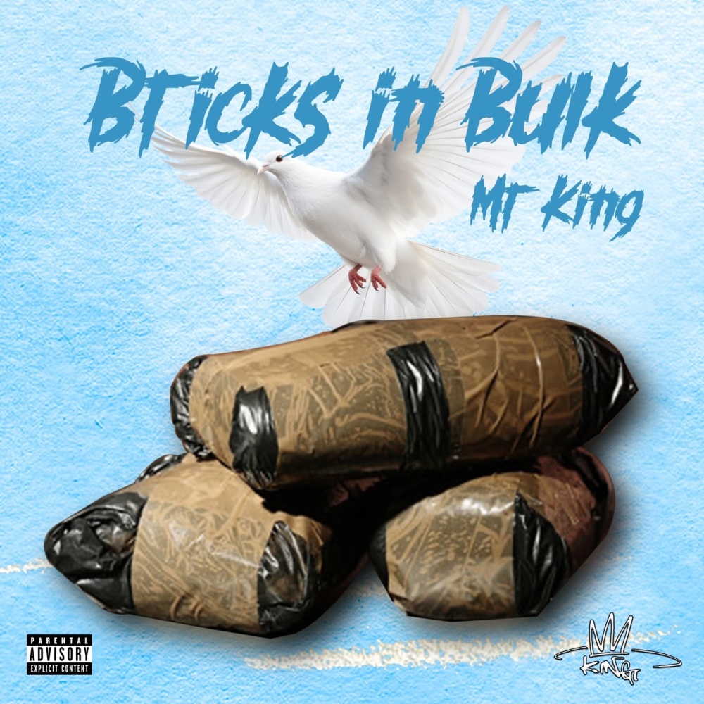 Bricks in Bulk (Freestyle) (Explicit)