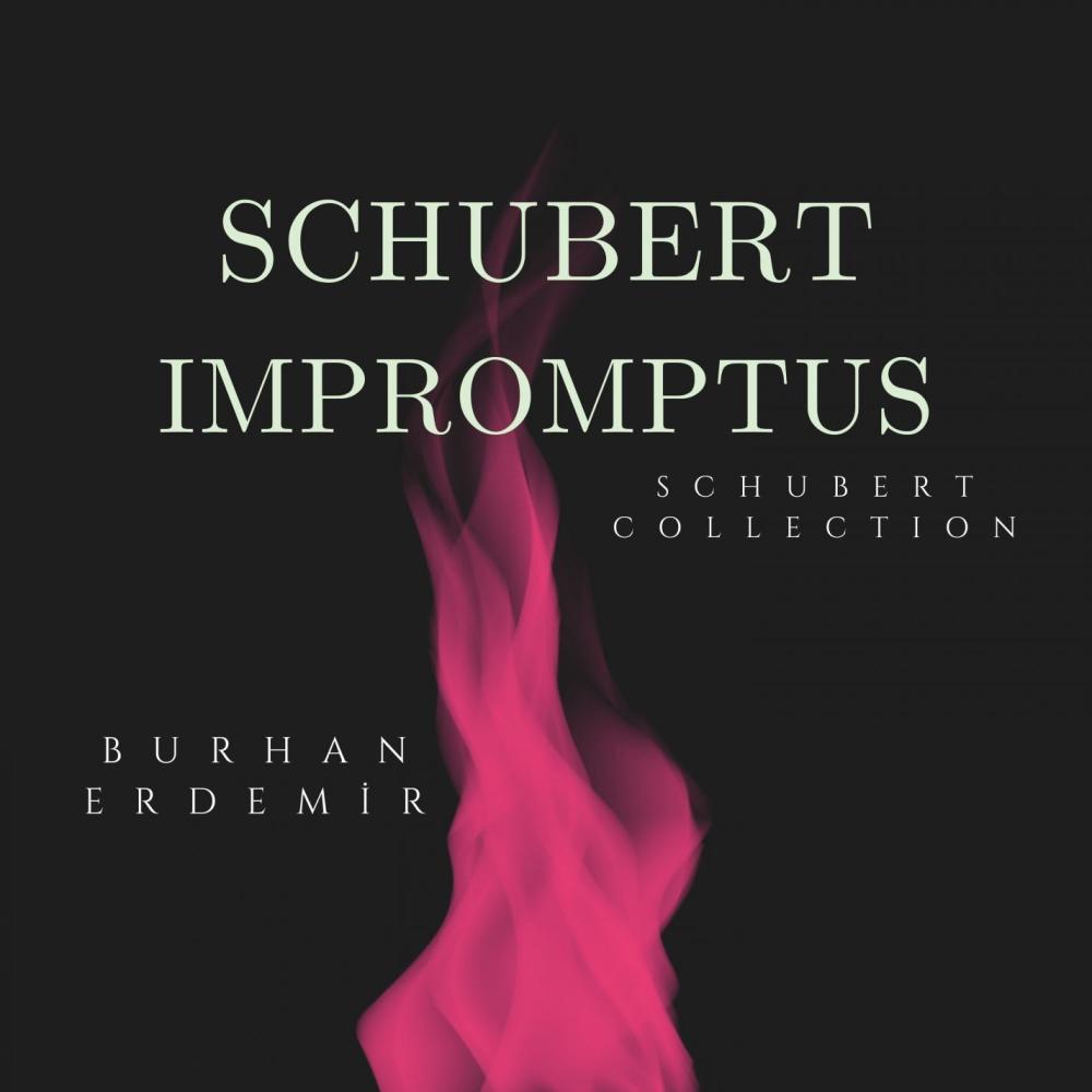 4 Impromptus, Op. 142 (D.935) : No. 4 in F Minor - Allegro scherzando