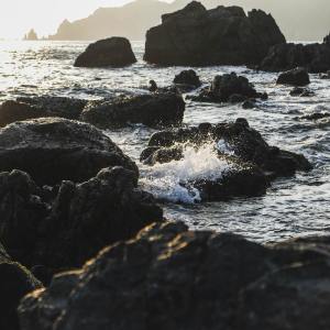 Listen to Stay Young song with lyrics from Relaxing Music