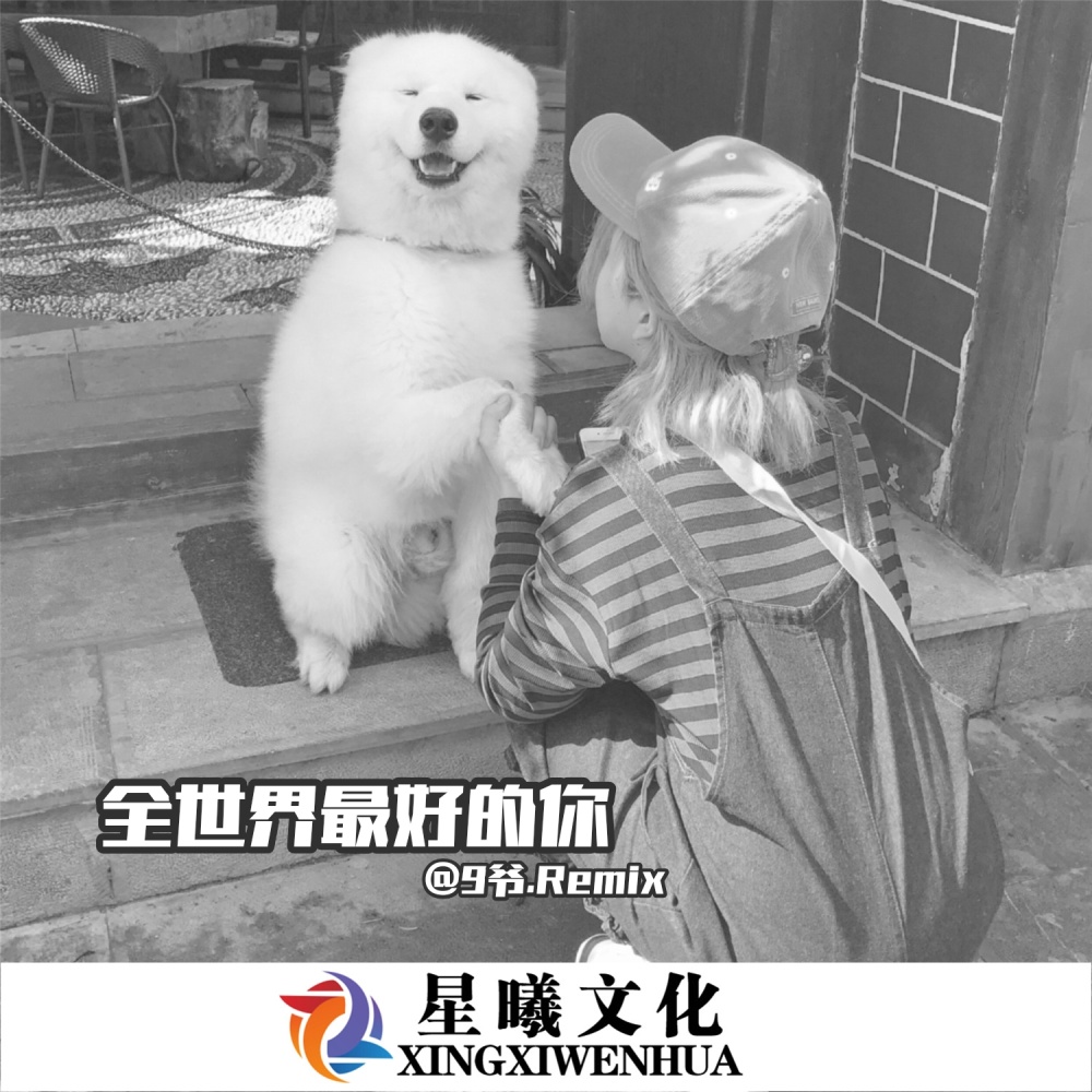 慢摇DJ