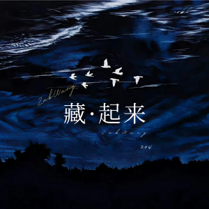 Listen to 藏起来 (完整版) song with lyrics from 王金水ZabWang