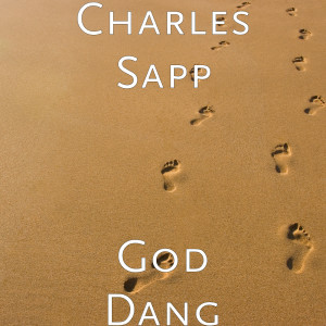 Listen to Some Angels Rent Their Wings song with lyrics from Charles Sapp