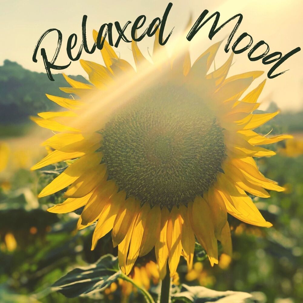 My relax