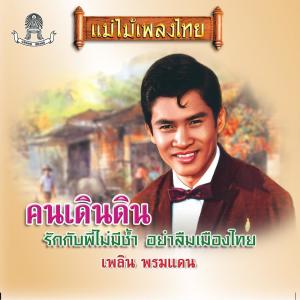 Listen to น้องม่วย song with lyrics from เพลิน พรหมแดน