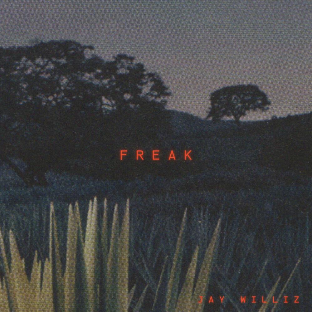 freak. (Explicit)