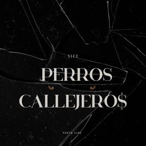 อัลบัม Perros Callejero$ (Explicit) ศิลปิน Sifu