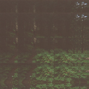 Listen to Shelter song with lyrics from Nelis Michiel