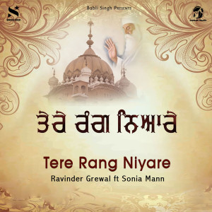 收聽Ravinder Grewal的Tere Rang Niyare歌詞歌曲