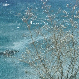 A Shape的專輯Because of You