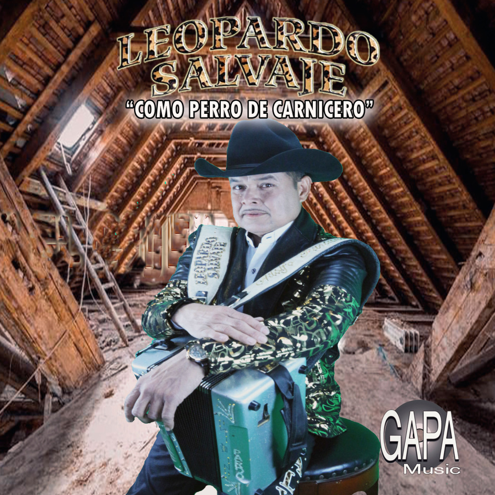 Como Perro de Carnicero
