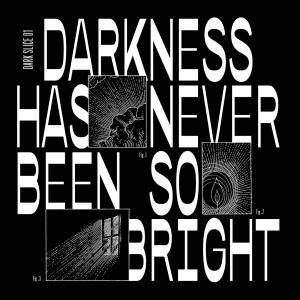 Listen to Timide Comme Un Ange (Darkness to the Light Version) song with lyrics from Pete Herbert