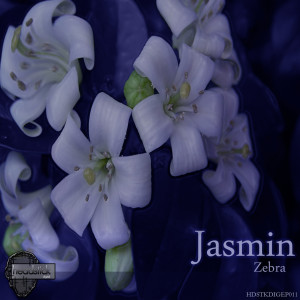 Listen to This Place song with lyrics from Jasmin