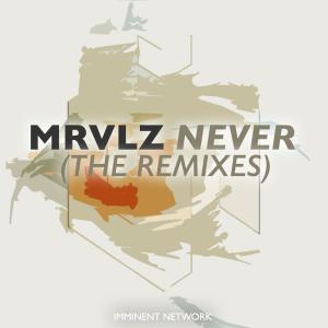 Listen to Never (VIP Mix) song with lyrics from Mrvlz