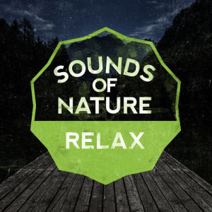 ดาวน์โหลดและฟังเพลง Wings พร้อมเนื้อเพลงจาก Sounds of Nature Relaxation