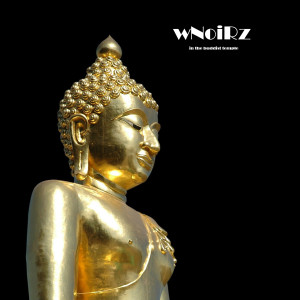 Dengarkan in the buddist temple (Therapeutical Immersive Sounds) lagu dari wNoiRz dengan lirik