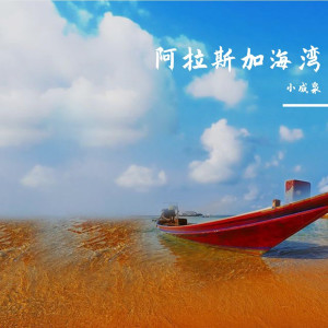 收听小成泉的深夜文案患者歌词歌曲