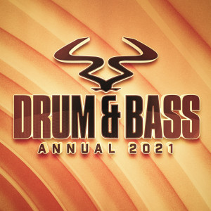 Various Artists的專輯RAM Drum & Bass Annual 2021