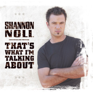 ดาวน์โหลดและฟังเพลง Burn พร้อมเนื้อเพลงจาก Shannon Noll