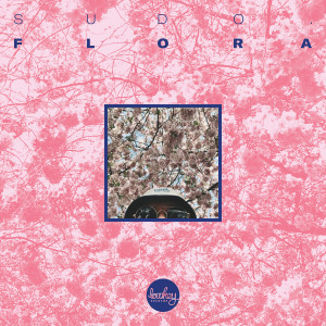 Listen to Cherry Blossom song with lyrics from Sudo.