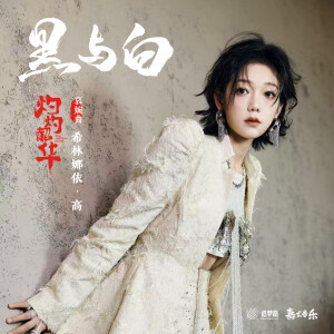 Album 黑与白 from 希林娜依高