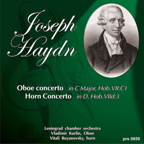 Horn Concerto No.1 in D Major, Hob.VIId/3: II. Adagio (其他)