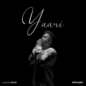 Album Yaari from aawaraANDY
